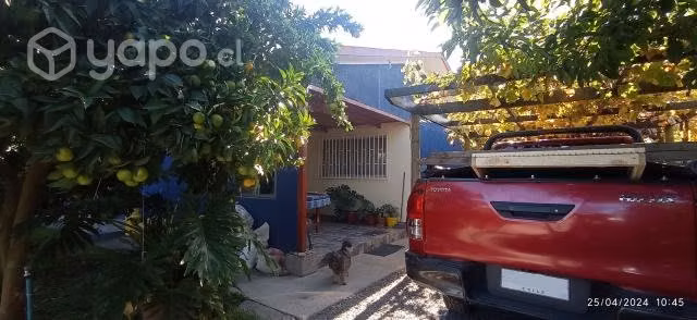 Exelente sitio con casa y arboles frutales