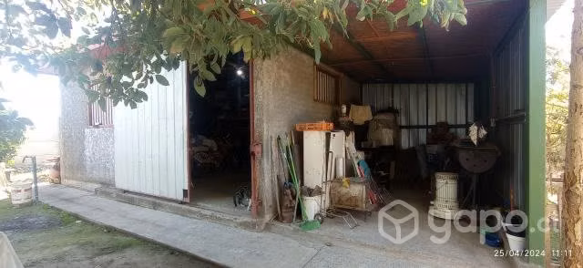 Exelente sitio con casa y arboles frutales