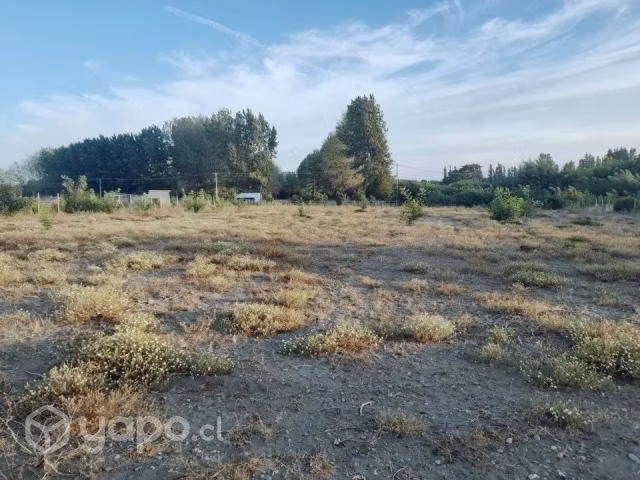 Vende parcela de 5.000mts2 en parque coihue