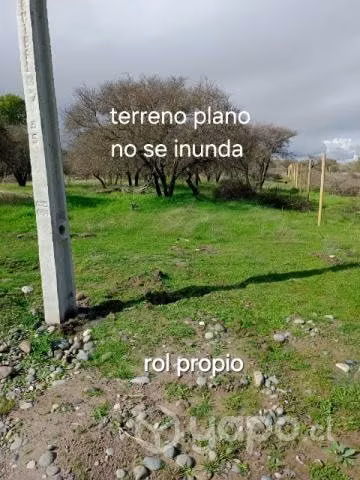Terreno 5000mts2