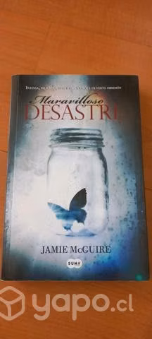 Maravilloso desastre - Inevitable desastre