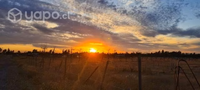 Parcela de agrado en molina