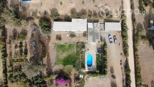 Casa parcela piscina y paltos culipran melipilla