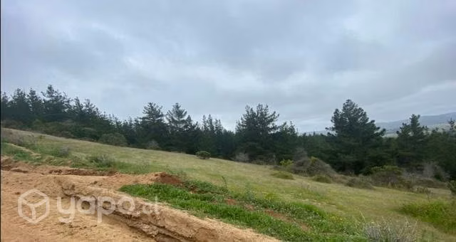 PARCELA LOMAS DE BUCALEMU 1/2 ha - Imagen 3