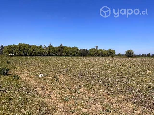 Vendo campo 40 has apto frutales