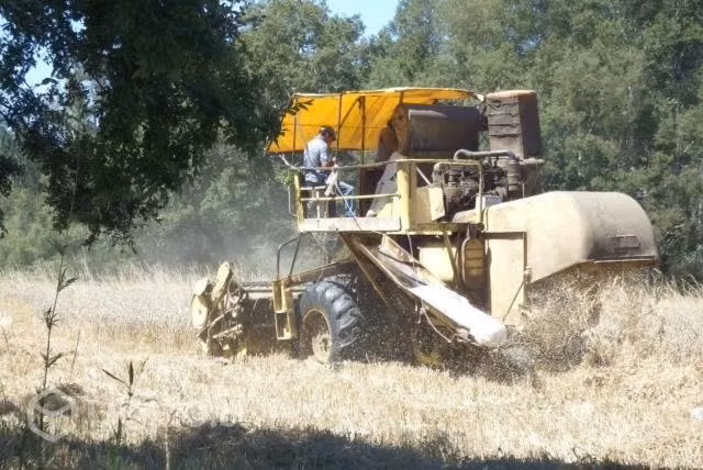 Vendo Terreno En Cunco, Temuco