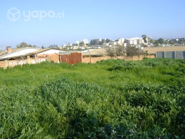Terreno plano Urbanizado, locomoción C-2229 - Imagen 4