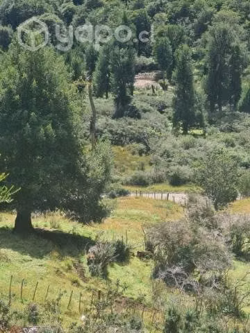 Terreno de 50 hás. En Patagonia Chilena, - Imagen 12