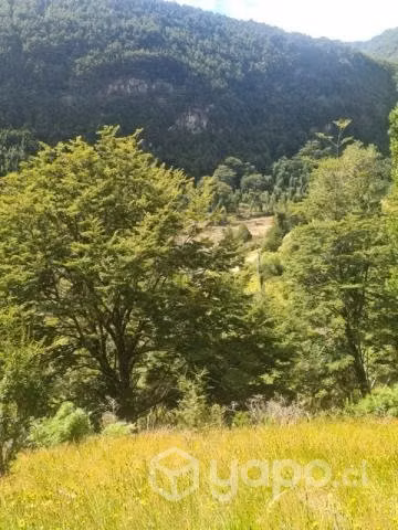 Terreno de 50 hás. En Patagonia Chilena, - Imagen 7