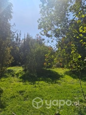 TERRENO DE 8.000 m2. URBANIZADO - Imagen 2