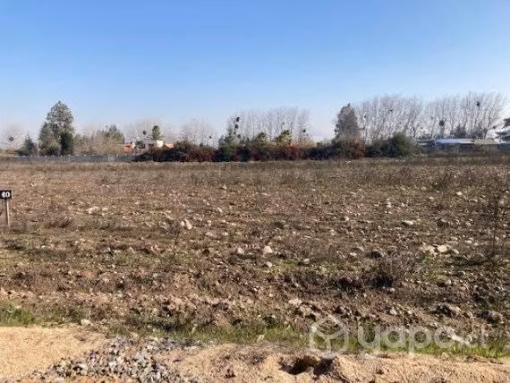 Parcela 5000m2 Camino el Oliveto Talagante
