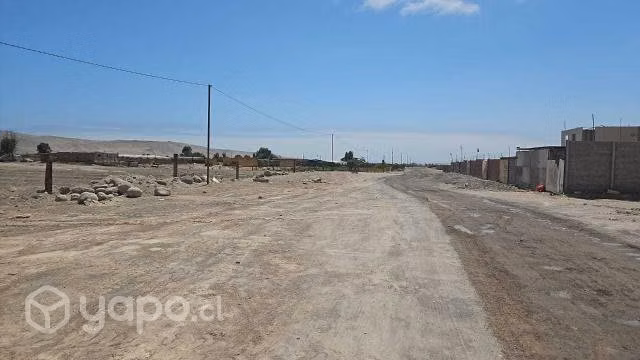 Terrenos en Lluta de 5000 mts2 con Rol