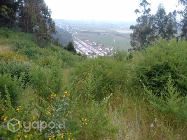Vendo hermosa parcela en Cobquecura