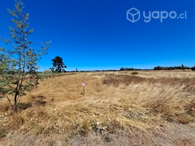Vendo Parcela en San Nicolás de 5000 M2, Ñuble