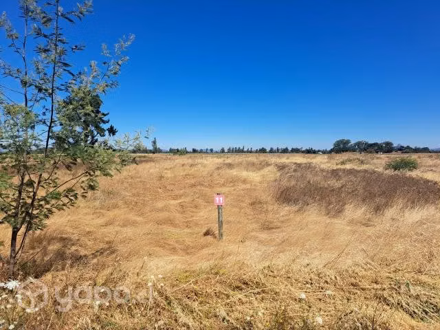 Vendo Parcela en San Nicolás de 5000 M2, Ñuble