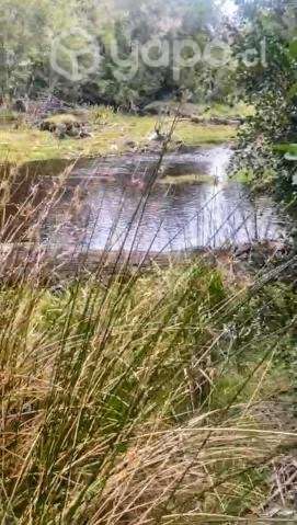 DOS HECTÁREAS, QUEMCHI, CHILOE - Imagen 5