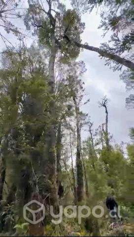 DOS HECTÁREAS, QUEMCHI, CHILOE - Imagen 6