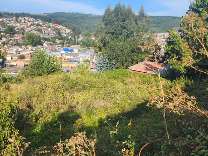 Sitio plano sector Barrio Chino