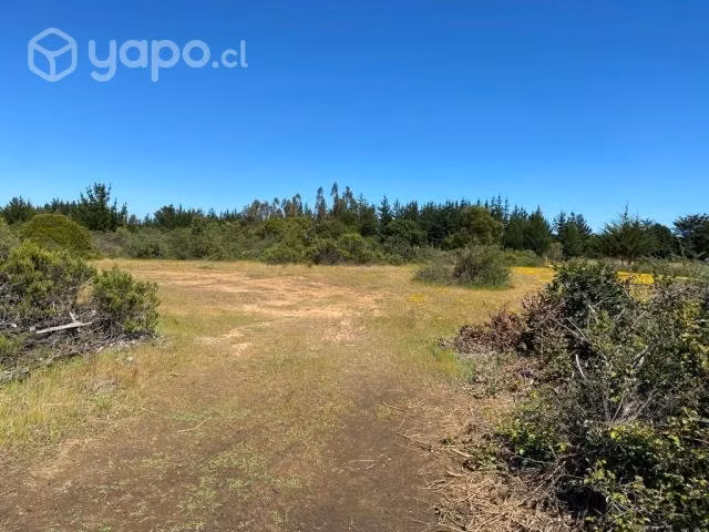 14 hectareas en PICHILEMU