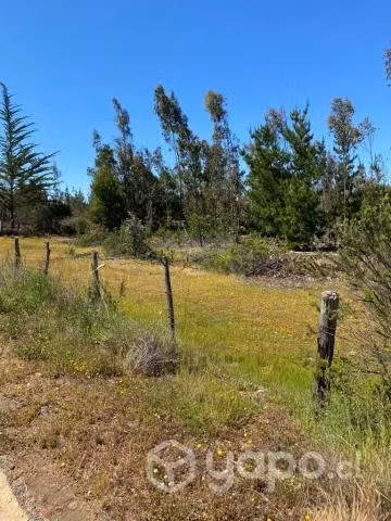 14 hectareas en PICHILEMU