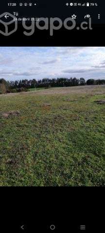 Se vende Terreno 5000 mts 2 - Imagen 3