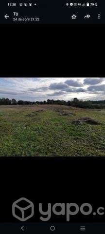 Se vende Terreno 5000 mts 2 - Imagen 2