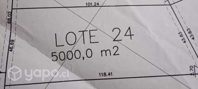 Se vende Terreno 5000 mts 2 - Imagen 4