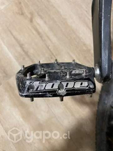 Specialized Camber