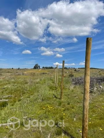 Parcelas 5000 m2