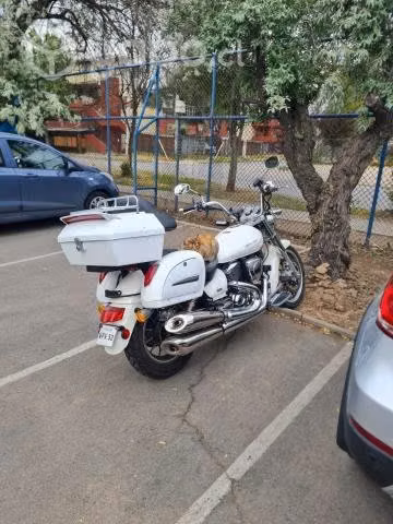 Lf 2050 con mejoras