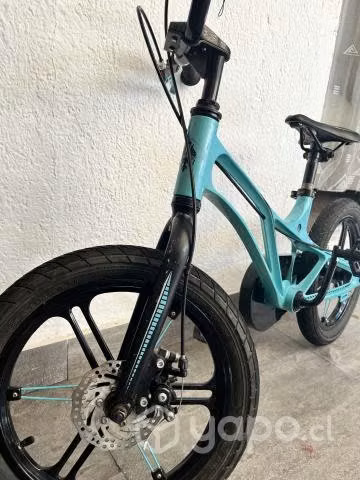 Bicicleta BIANCHI - Imagen 3