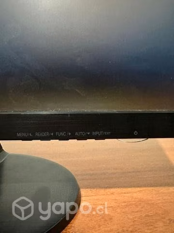 Monitor LG