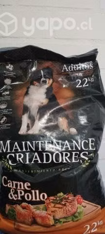 Maintenance criadores adulto 22kg