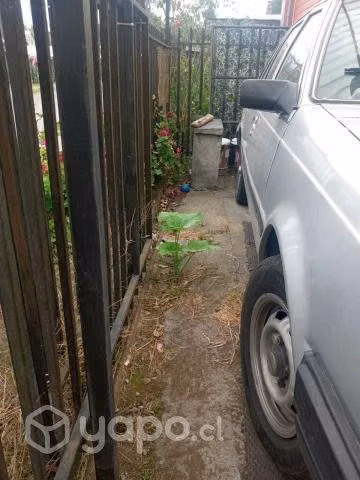 Nissan sunny 1989