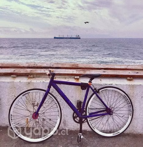 Bicicleta Fixie