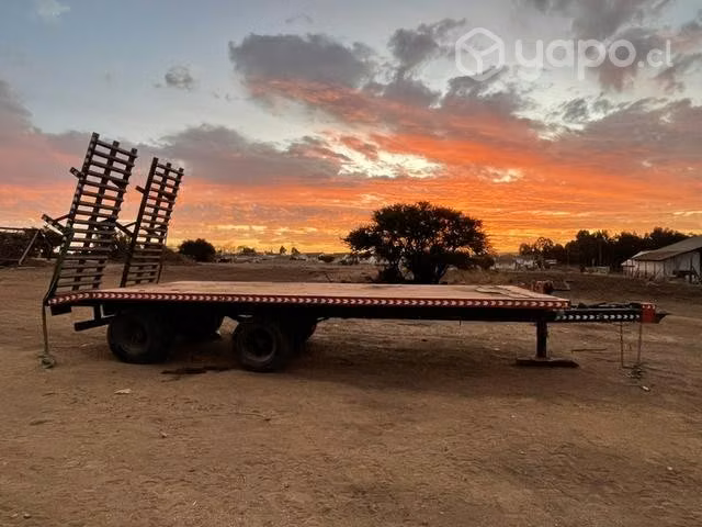 Carro Transporte