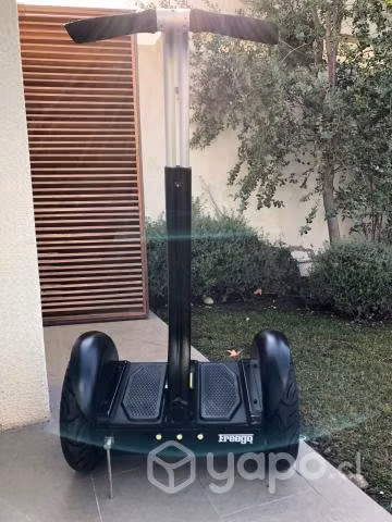 Scooter Electrico, Freego