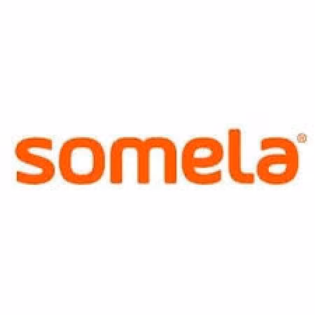 Secador de pelo somela