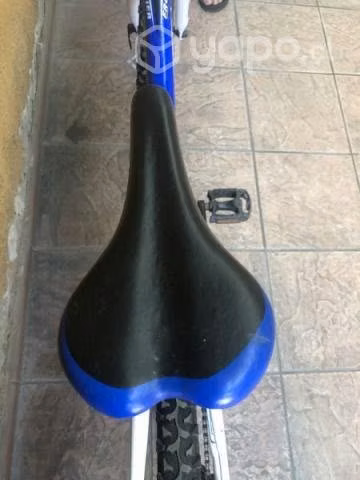 Bicicleta oxford