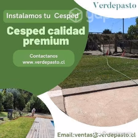 Venta de cesped premium instalado,
