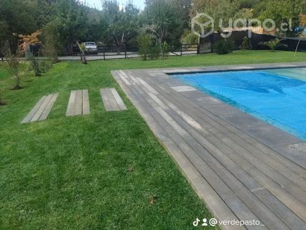 Venta de cesped premium