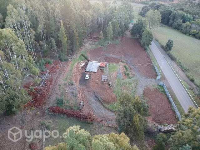Pardela a 4.5 km de cholchol