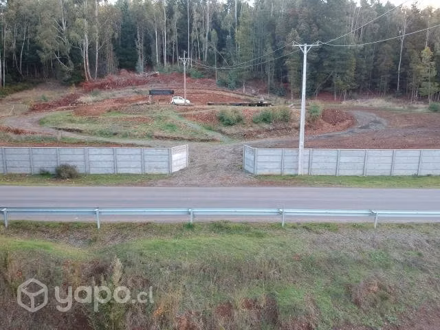 Pardela a 4.5 km de cholchol