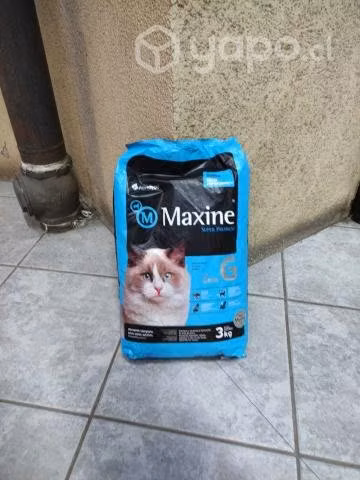 Alimento Gato Maxine Felino