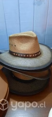 Lote 44 sombreros variados