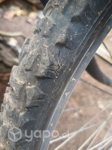 Bicicleta Geolander