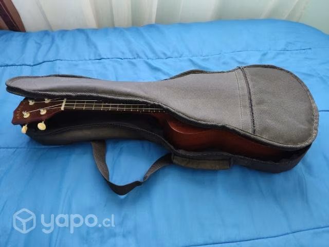 Ukelele makala concierto + funda