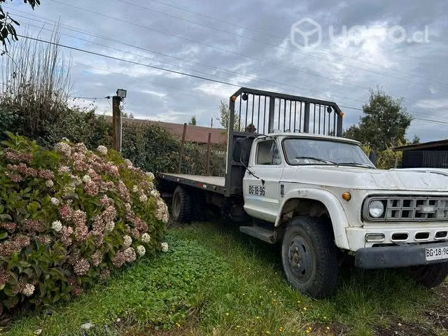 Camión Chevrolet C 60