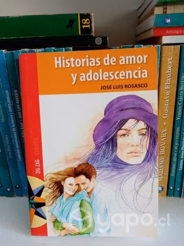 Historias de Amor y Adolescencia