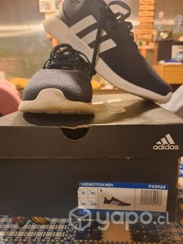 Zapatillas